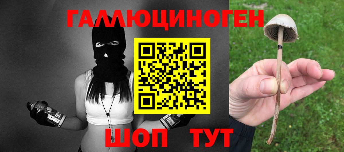 Вольск  Галлюциногенные грибы MAGIC MUSHROOMS  Галлюциногенные грибы MAGIC MUSHROOMS  Вход с VPN 